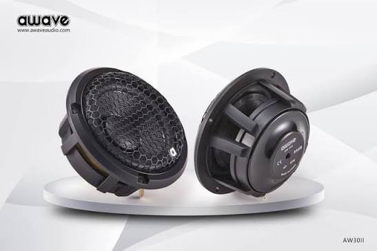 Awave AW30II Midrange Speaker